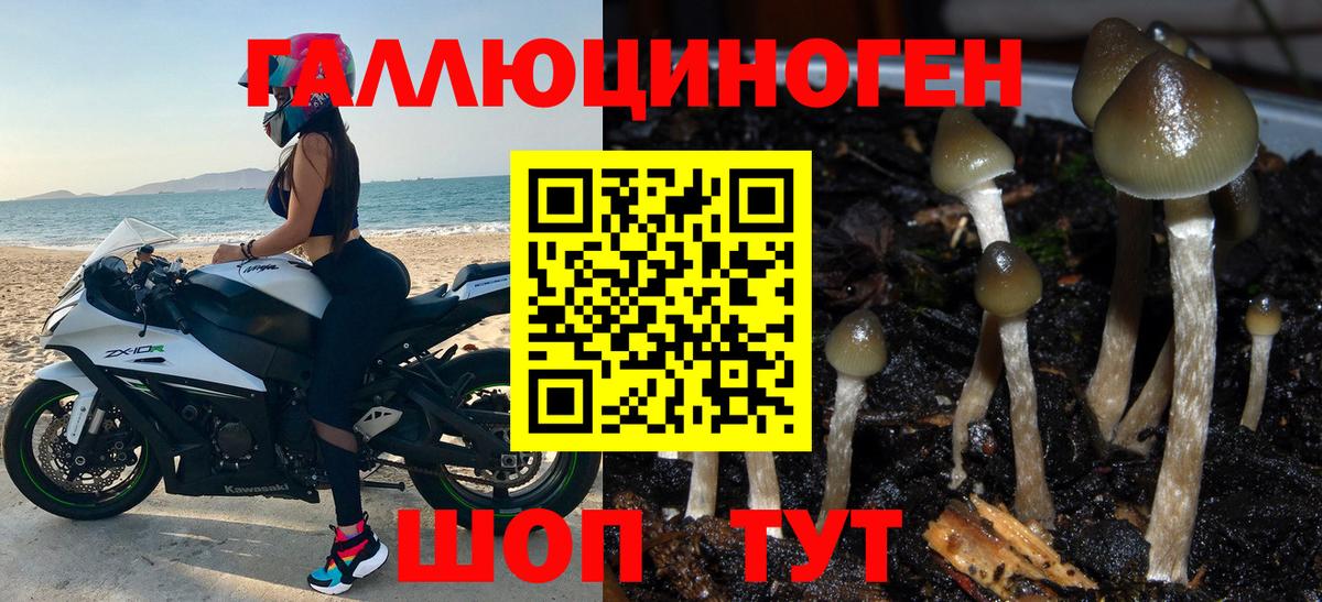 Дзержинский  Вход с VPN  Мефедрон кристаллы  ГАШИШ  ГАШИШ  Марихуана  Кокаин 